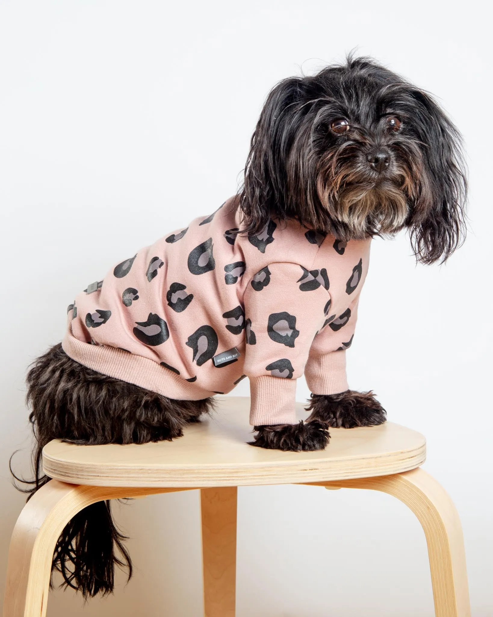 Leopard Print Dog Sweatshirt (FINAL SALE)