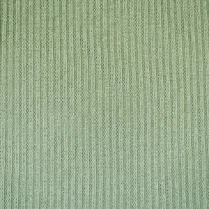 Light Green-White Cotton Rayon Stretch Spandex Brushed Back 2x2 Knit Fabric